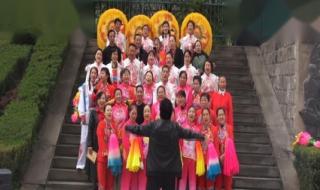 山丹丹花开红艳艳是哪首歌 山丹丹开花红艳艳dj